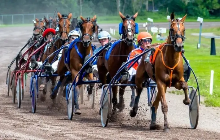 Northville Downs Racetrack To Host 62 Standardbred Dates In 2022