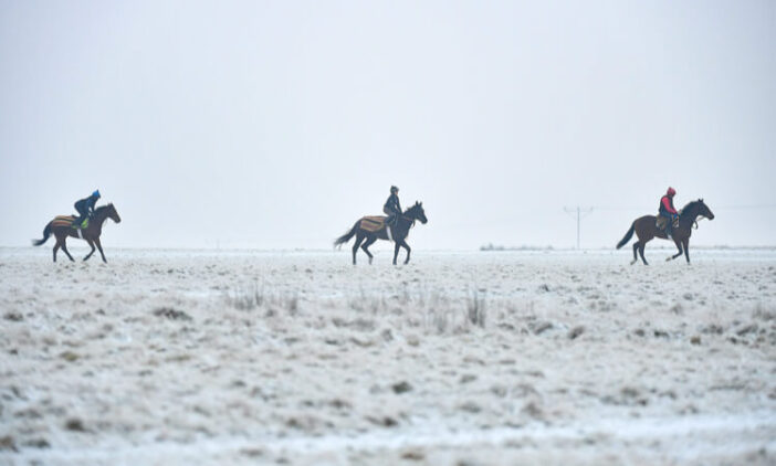racehorses in the snow